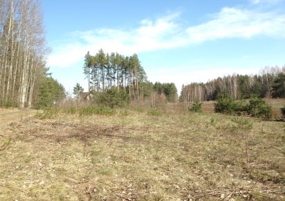 działka na sprzedaż - Wasilków (gw), Sochonie