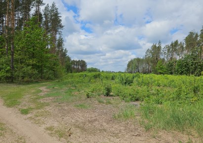 działka na sprzedaż - Zabłudów (gw), Skrybicze